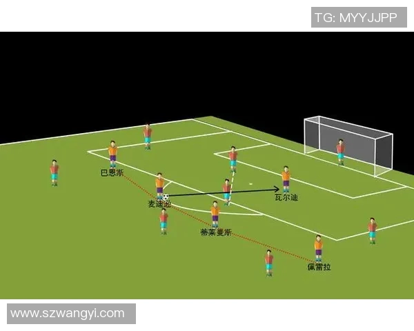 广州排球队的崛起之路:从默默无闻到联赛强队的成长历程